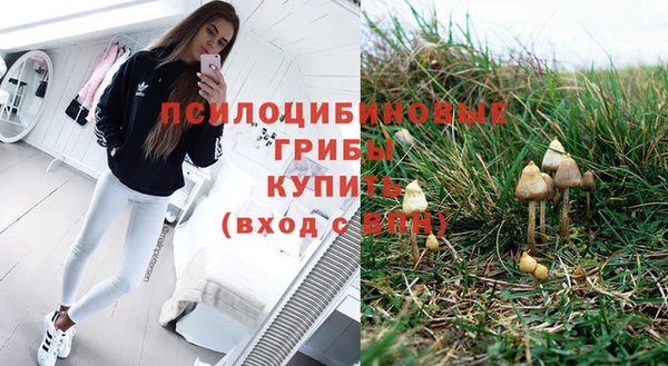 ПСИЛОЦИБИНОВЫЕ ГРИБЫ Шадринск