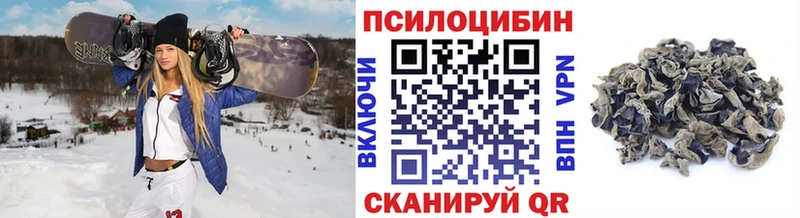 магазин продажи наркотиков  Артём  Псилоцибиновые грибы мицелий 